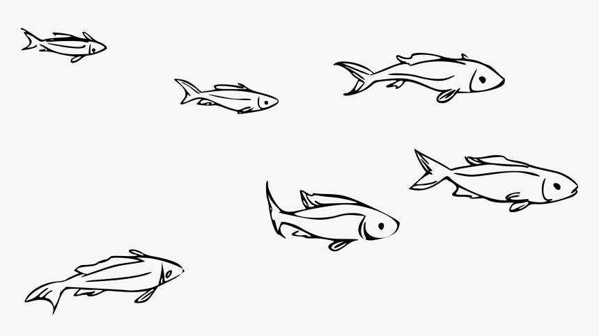Big Image - Small Fish Clipart Black And White, HD Png Download, Free Download