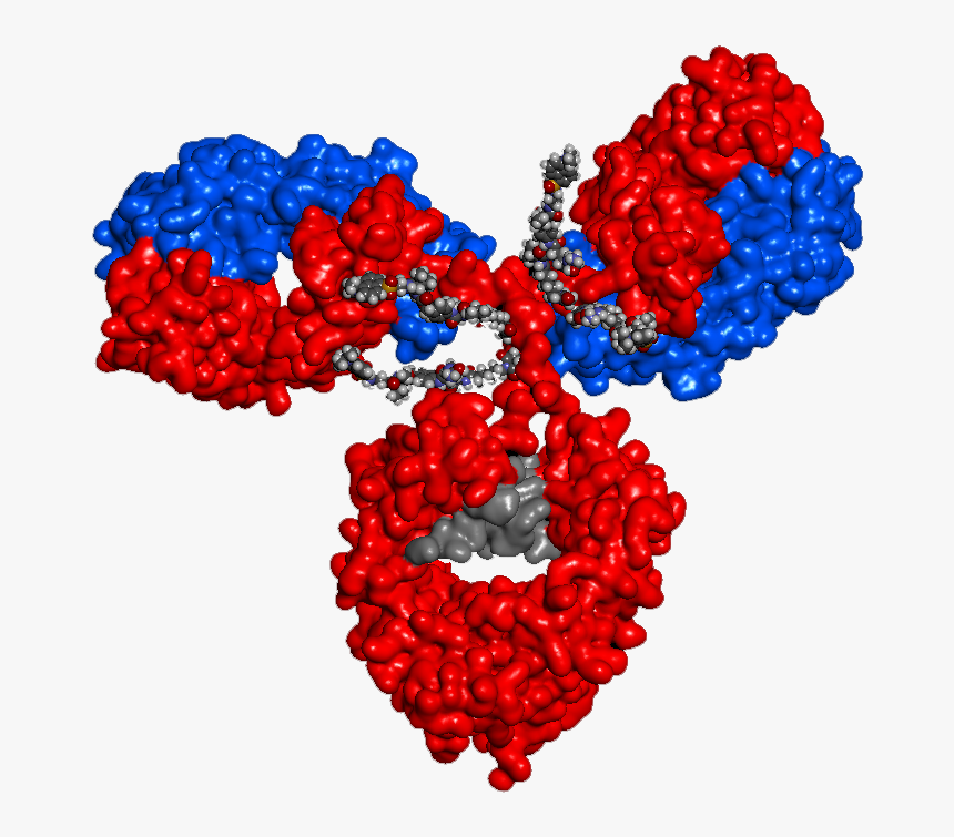 Antibody Drug Conjugate Structure, HD Png Download, Free Download