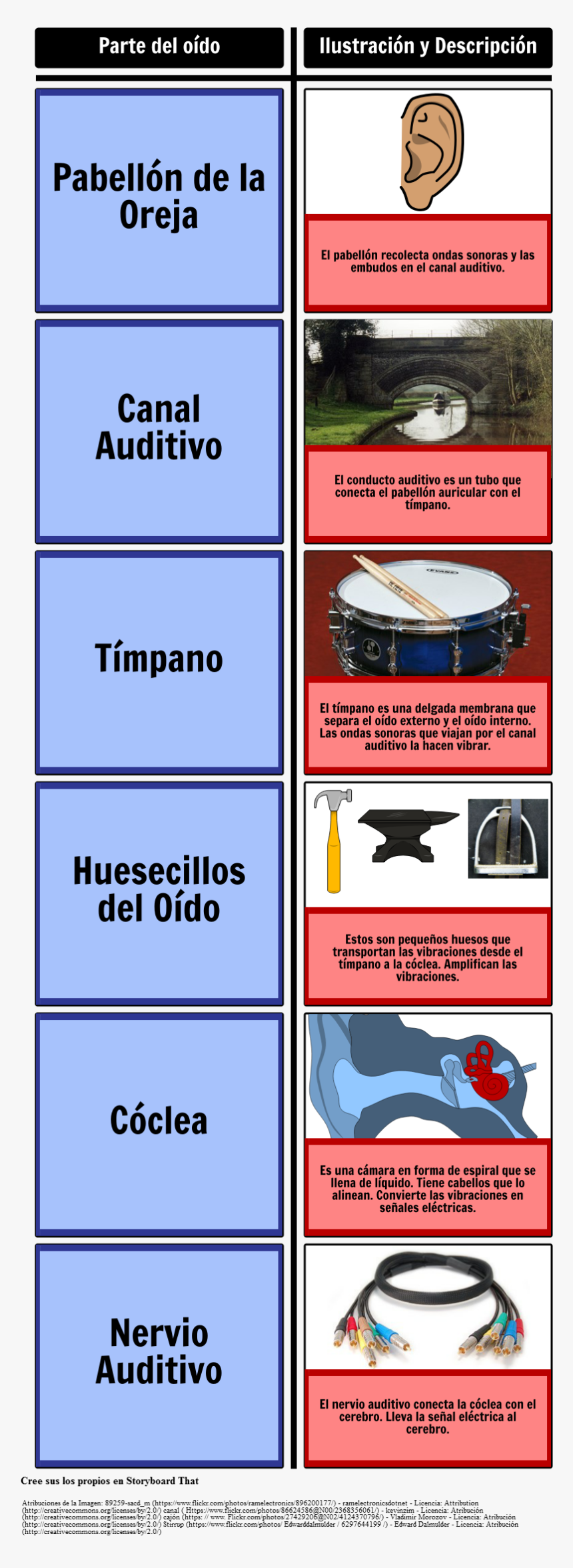 Partes Del Oído"
 Style="max Width - Poster, HD Png Download, Free Download