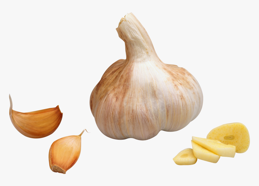 Diente De Ajo Png , Png Download - Garlic Clip Art, Transparent Png, Free Download