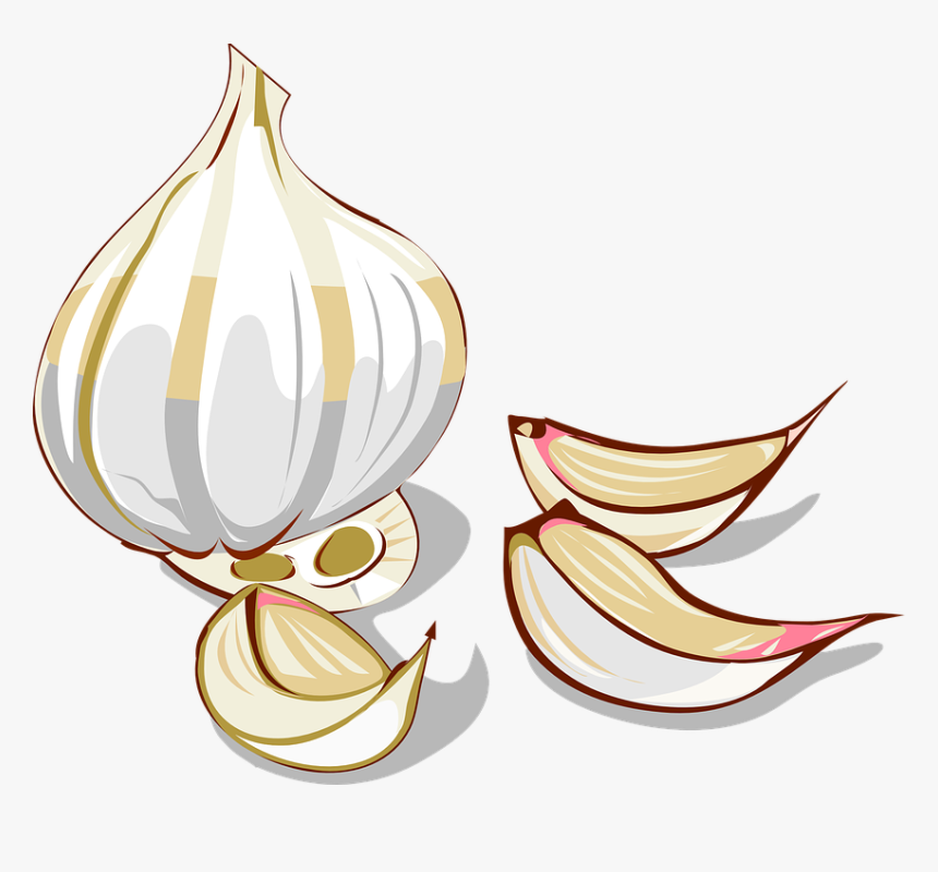 Ajo, Clavo, Vegetales, Orgánicos, Especia, Ingrediente - Garlic Clipart Png, Transparent Png, Free Download