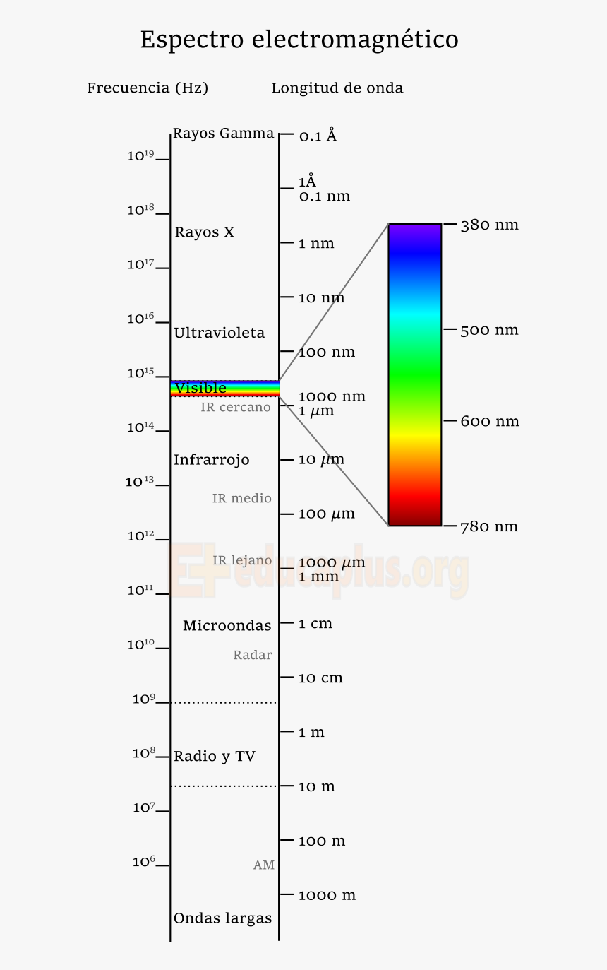 Espectro Electromagnético - Luz Como Onda, HD Png Download, Free Download