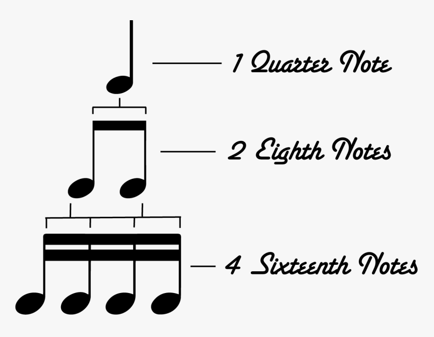 How To Divide A Quarter Note - Quarter Note Eighth Note Sixteenth Note, HD Png Download, Free Download