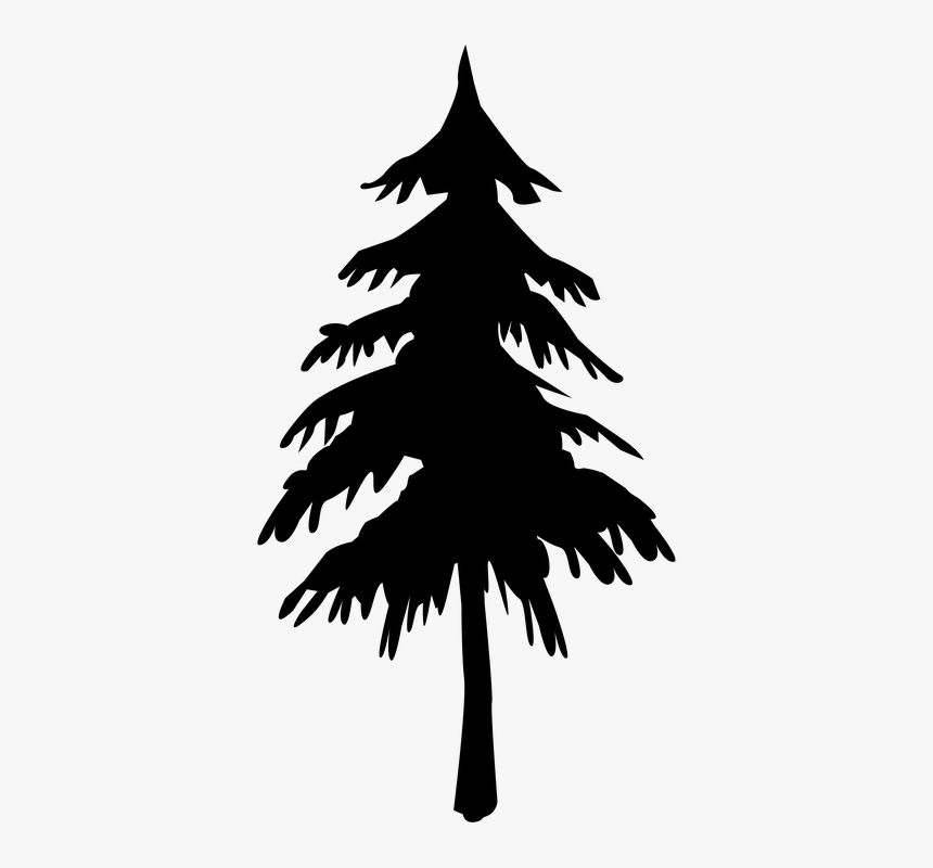 Tree, Silhouette, Fir Tree, Black, Baume, Clouds - Pinhole Effect, HD Png Download, Free Download