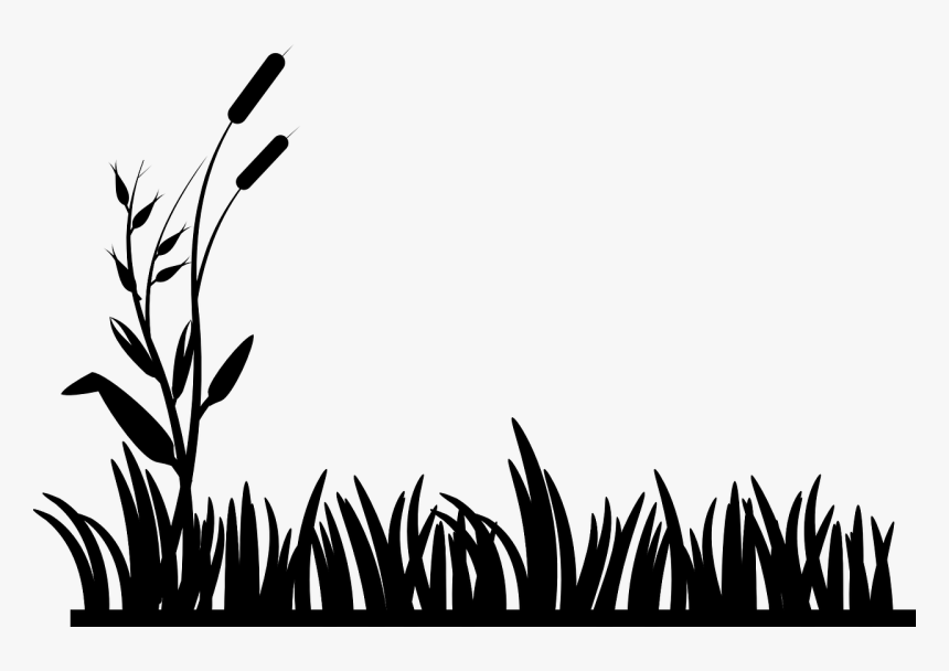 Cattails, Grass, Lawn, Nature, Silhouettes - Animated Black And White Grass, HD Png Download, Free Download