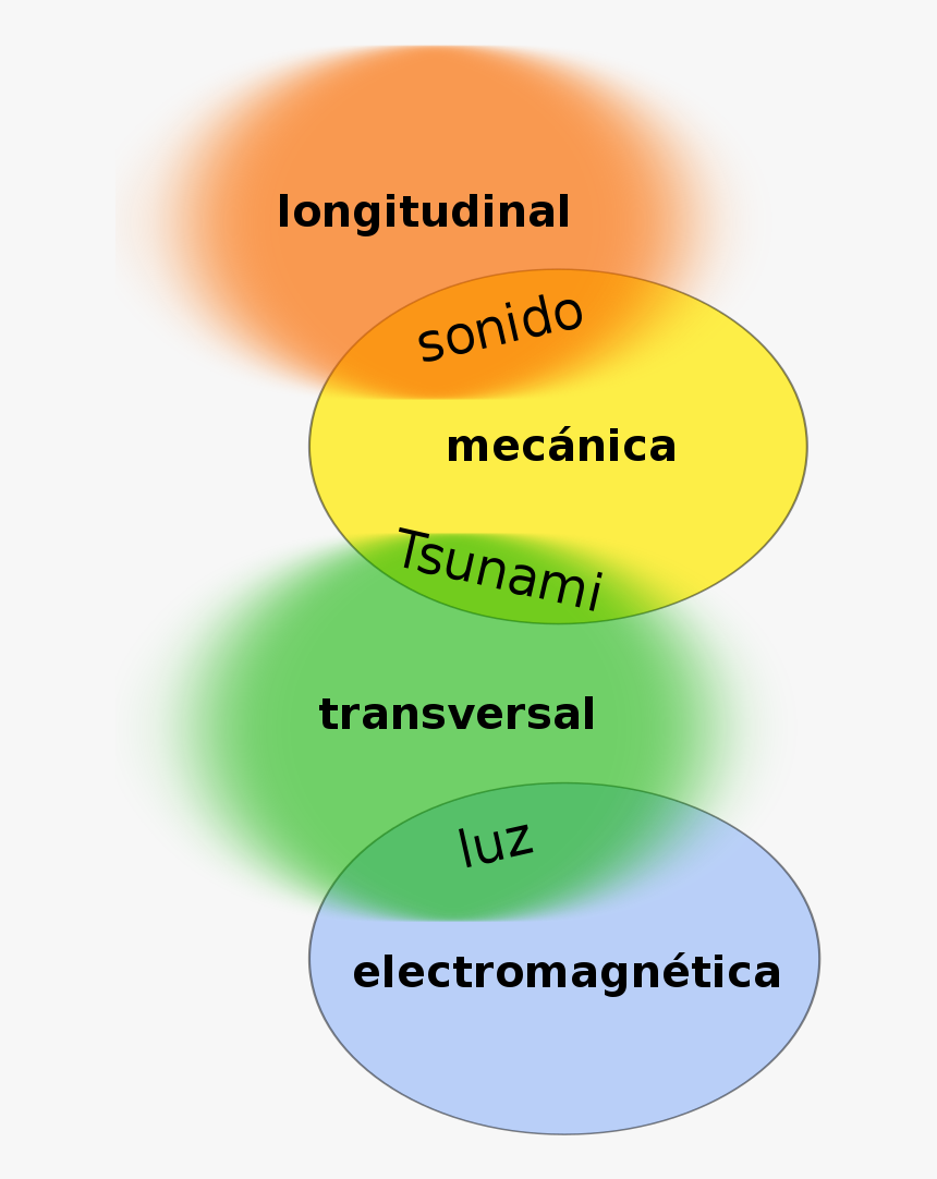 Clasificacion De Las Ondas, HD Png Download, Free Download