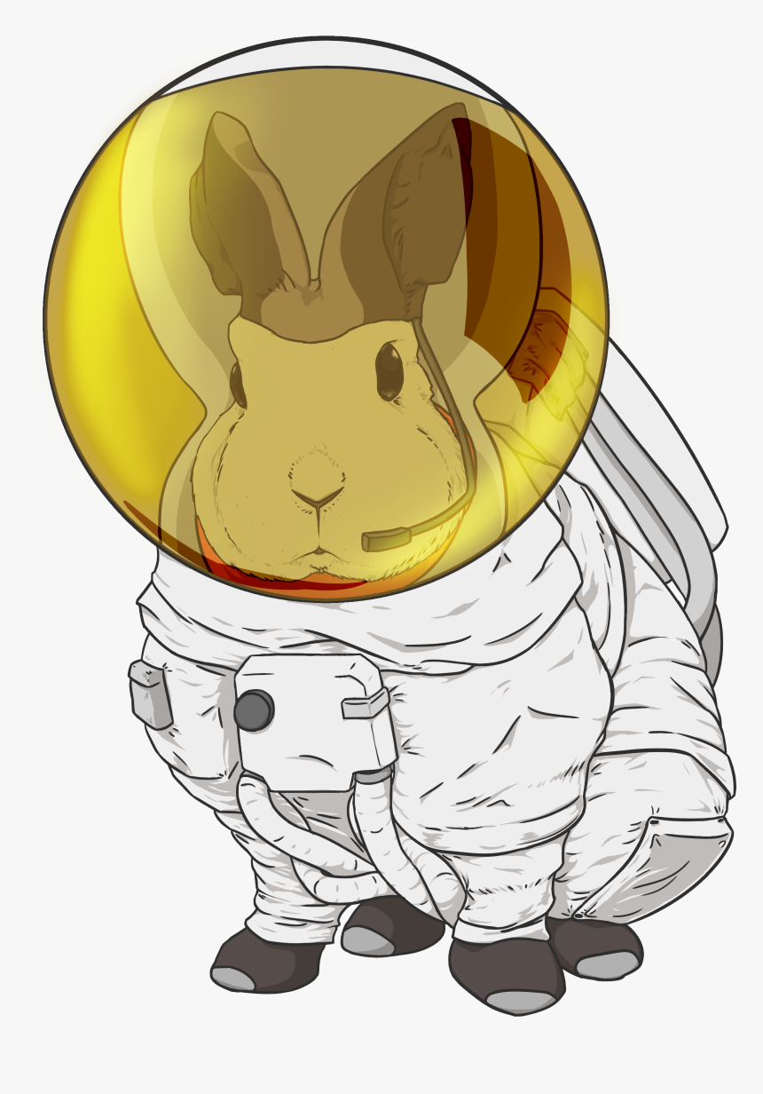 Rabbit Astronaut, HD Png Download, Free Download