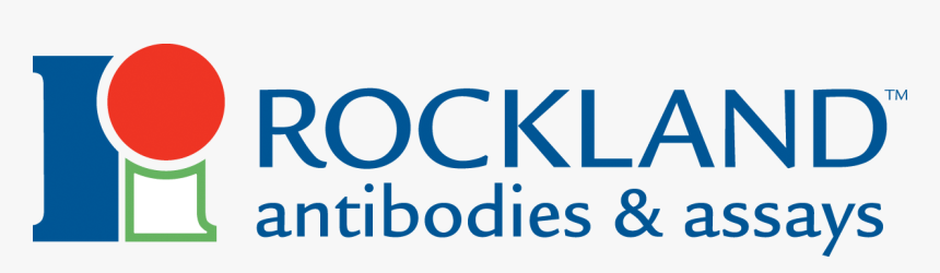Rockland Antibodies And Assays, HD Png Download, Free Download
