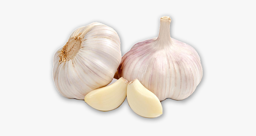 Fresh Garlic Images Png, Transparent Png, Free Download