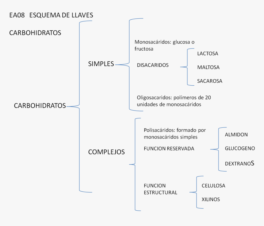 Lunes, 2 De Julio De - Esquema De Llaves Png, Transparent Png, Free Download