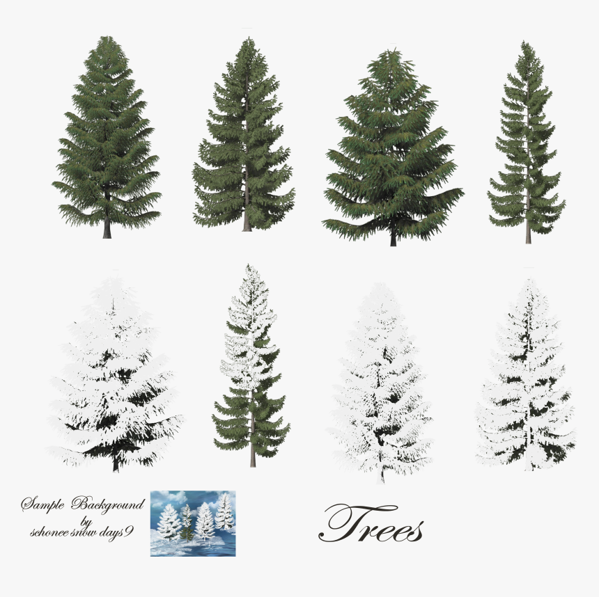 Trees With Snow Photoshop - Pine Trees, HD Png Download, Free Download