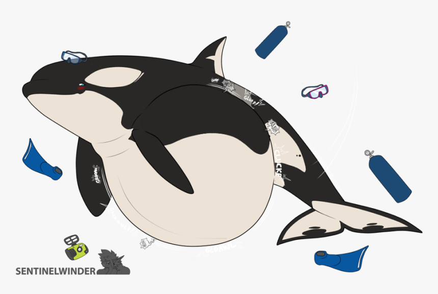 Found Big Fish - Shark Vores Orca, HD Png Download, Free Download