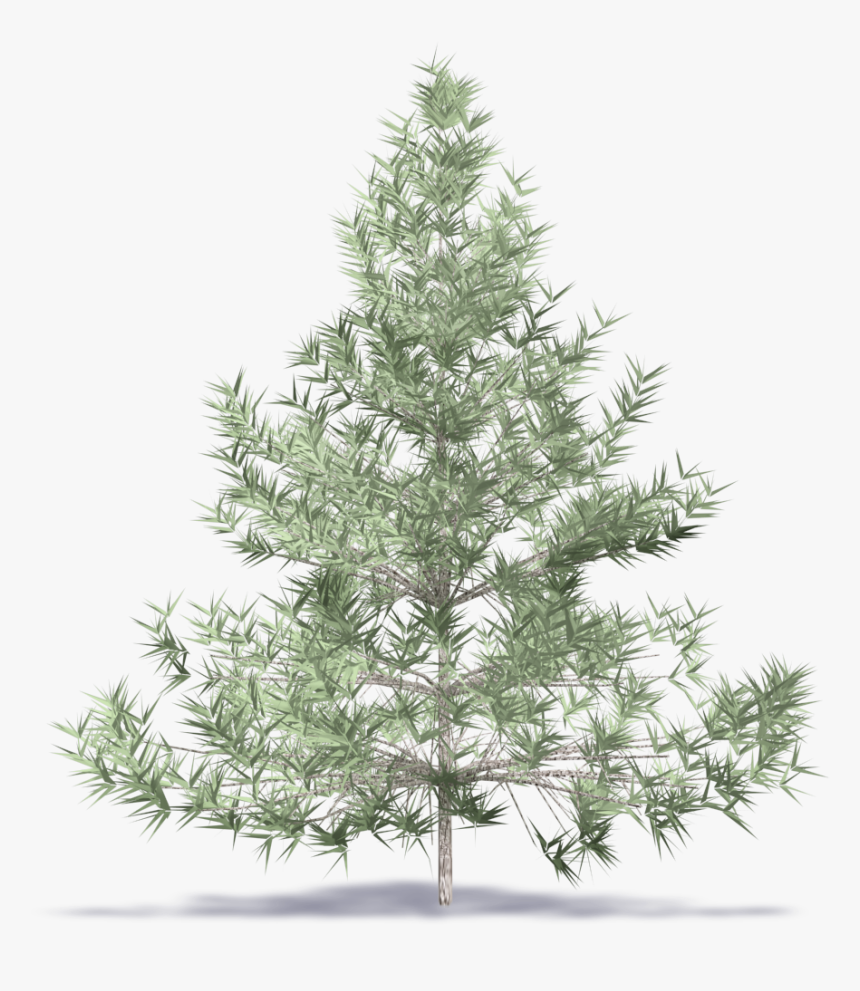 Fir Tree - Artificial Flocked Noble Christmas Tree, HD Png Download, Free Download