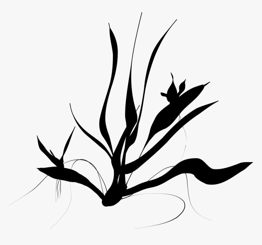 Sea Grass Png Black And White - Underwater Plants Silhouette, Transparent Png, Free Download