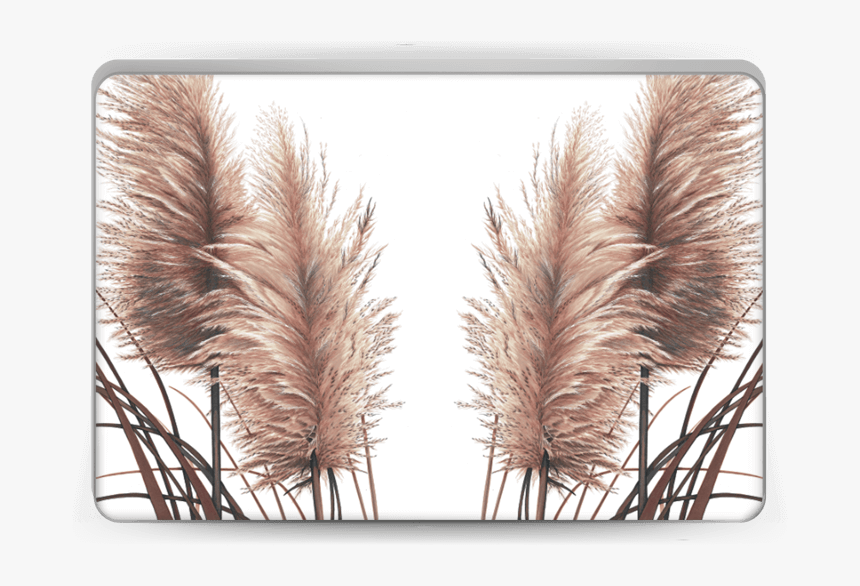 Pampas Grass Skin Laptop - Transparent Pampas Grass Png, Png Download, Free Download