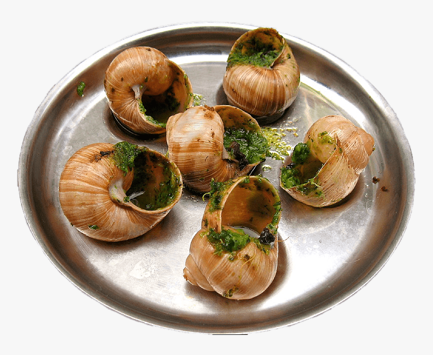 Escargots En Mantequilla De Ajo - Escargots Png, Transparent Png, Free Download