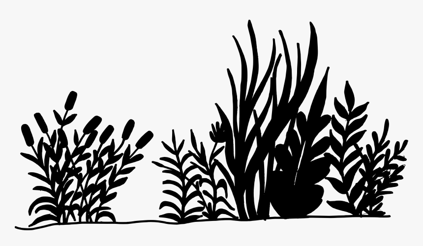 Transparent Png Format Images Nature - Transparent Background Grass Png Black And White, Png Download, Free Download