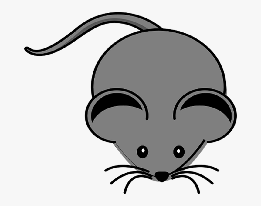 Mouse - Mouse Clipart, HD Png Download, Free Download