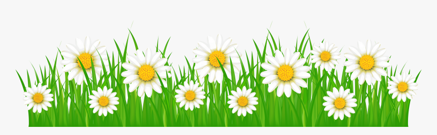 Grass Ground With White Flowers Png Clip Art Image - Grass Clipart With Flowers, Transparent Png, Free Download