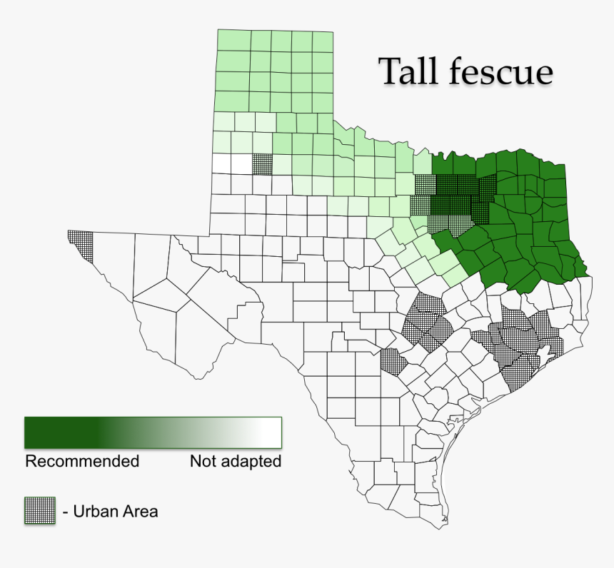 Tall Fescue Areas Of Adaptation - Tall Fescue North Texas, HD Png Download, Free Download