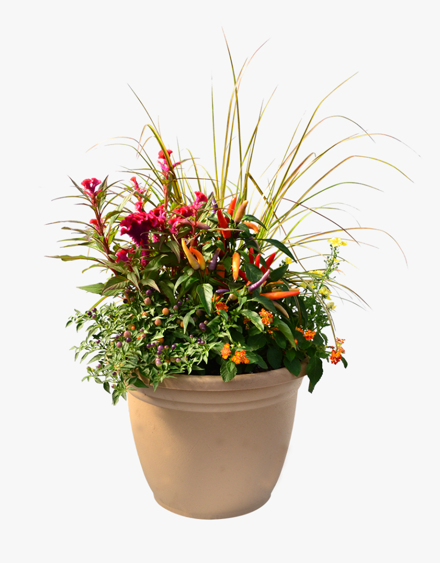 Flowerpot, HD Png Download, Free Download