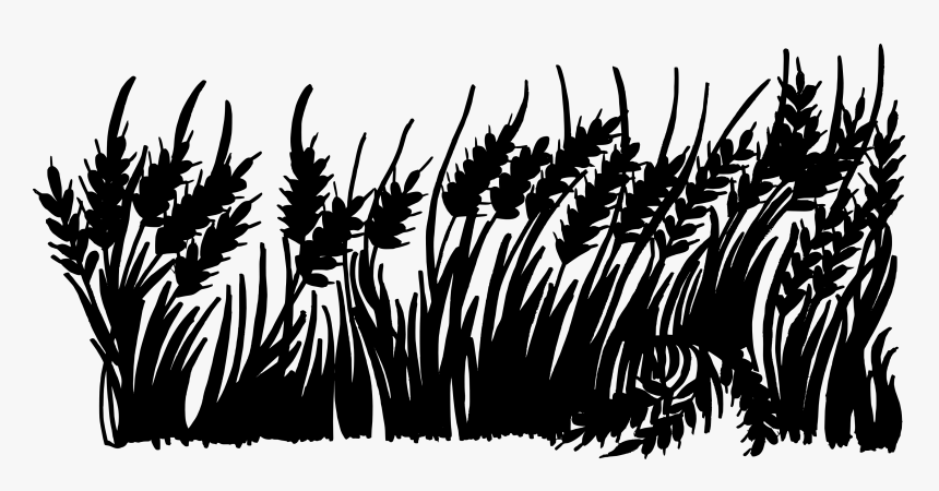 Black And White Monochrome Photography Silhouette - Grass Black And White Transparent Background, HD Png Download, Free Download
