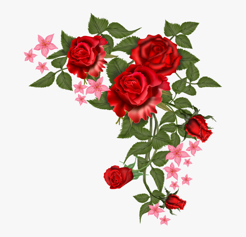 Transparent Moana Clipart Png Vector Red Flowers Png Png Download Kindpng