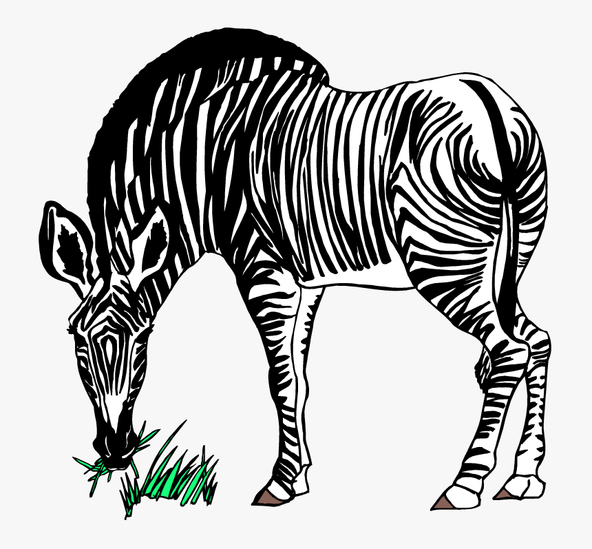 Zebra Clipart Black And White