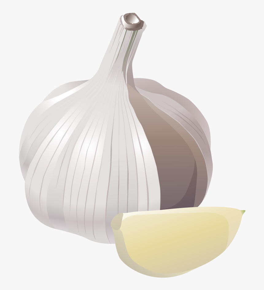 Garlic Veggie Burger Clip Art - Garlic Png Vector, Transparent Png, Free Download