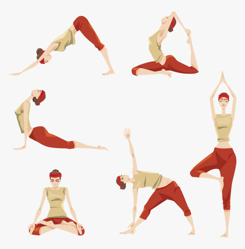 Yoga Beauty Vector Fitness Exercise Physical - Vector Graphics, HD Png Download, Free Download