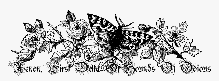 Vintage Flower Png Black And White - Butterfly And Bee Border, Transparent Png, Free Download