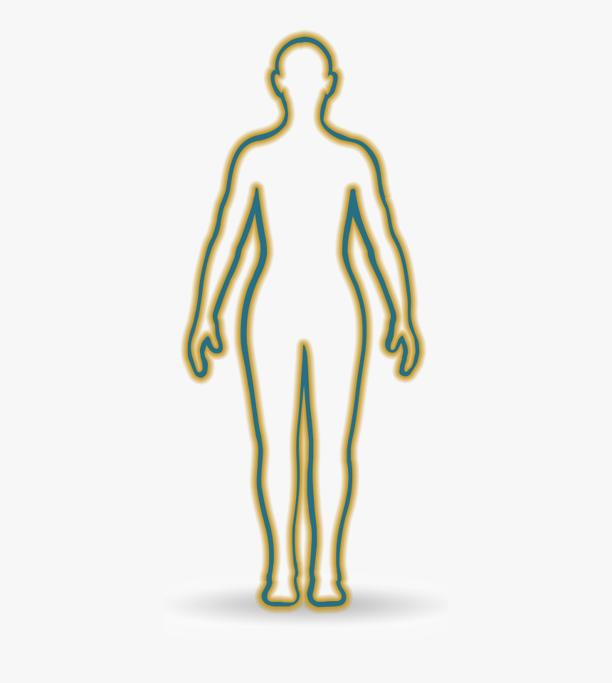 Body Outline With Areas Where Trk Fusion Cancer Has - Illustration, HD Png Download, Free Download