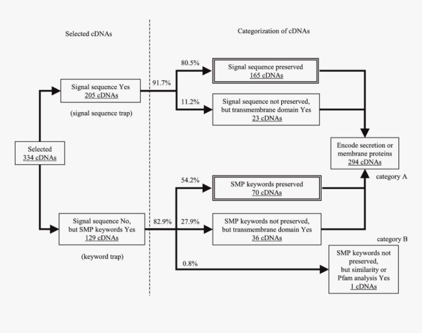 Linked List, HD Png Download, Free Download