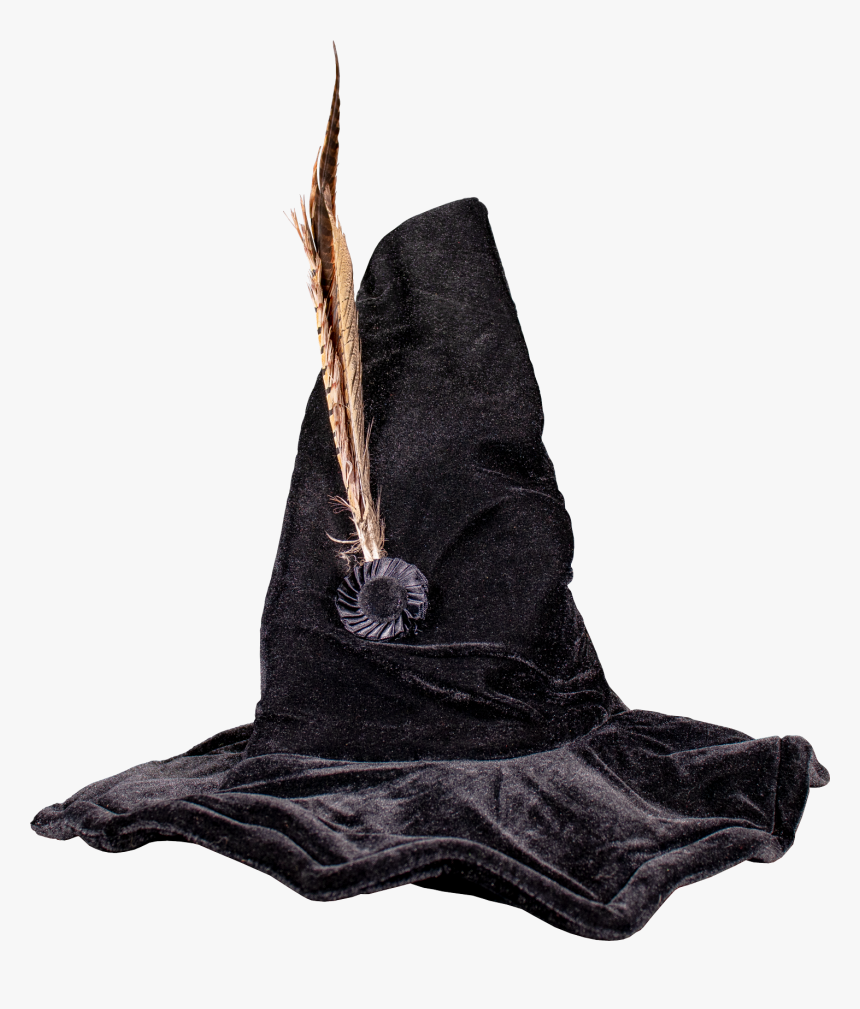 Professor Mcgonagall Hat - Costume Hat, HD Png Download, Free Download