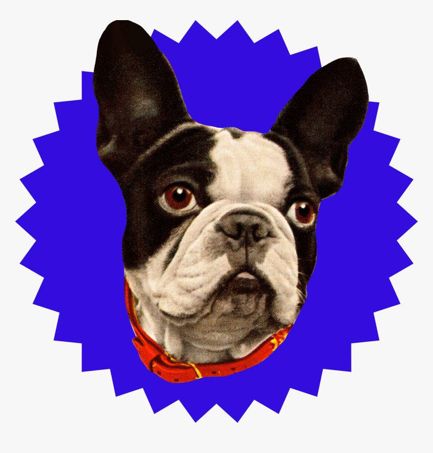 Red Star Circle Logo, HD Png Download, Free Download