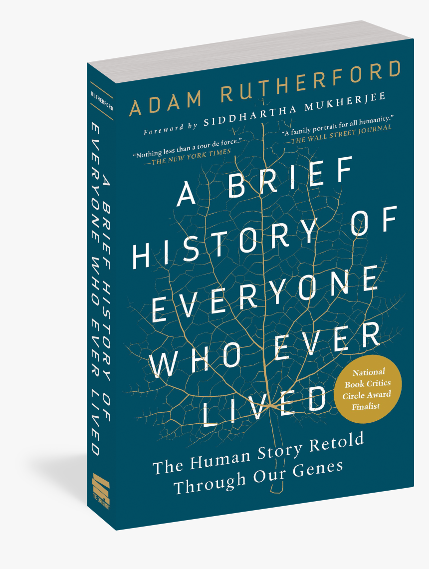 Cover - Brief History Of Everyone Who Ever Lived, HD Png Download, Free Download