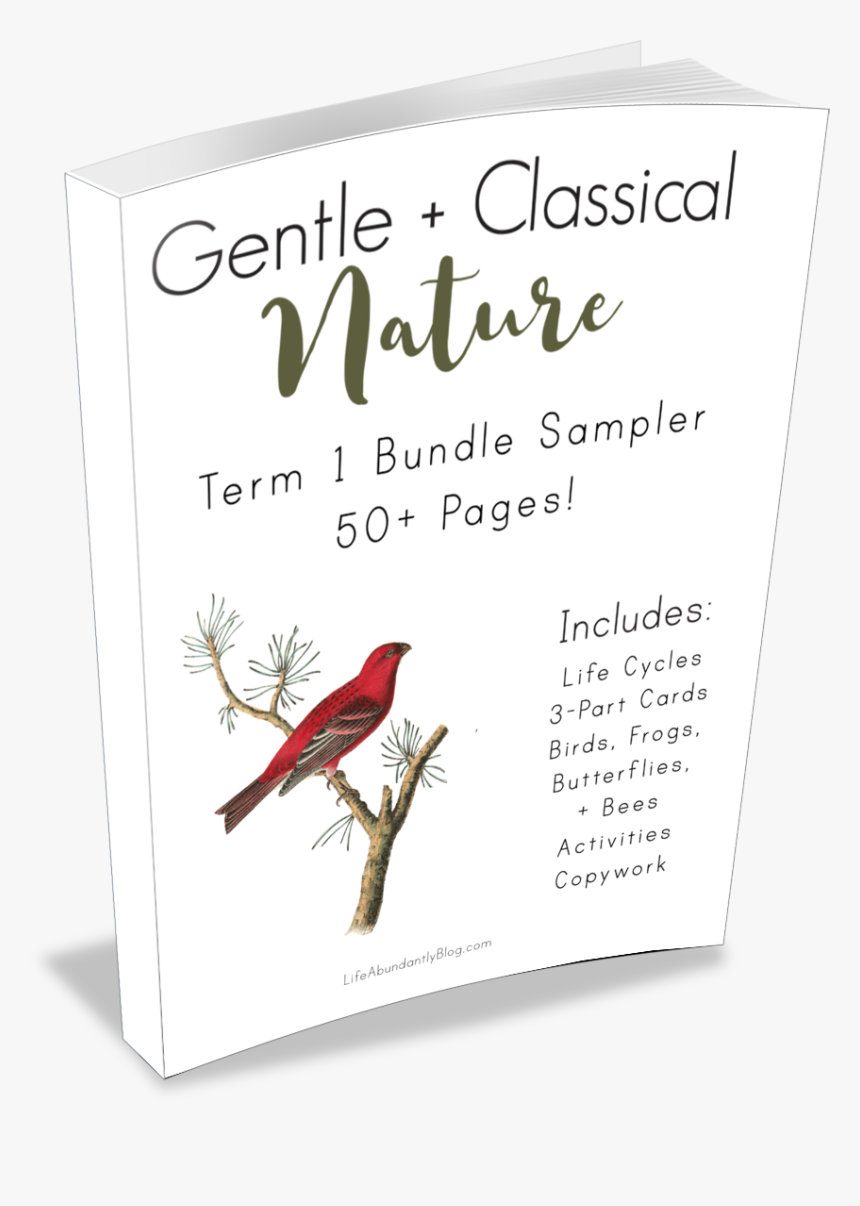 Huge Free Gentle Classical Nature Bundle Sampler, HD Png Download, Free Download