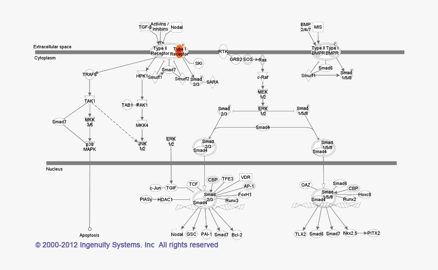 Diagram, HD Png Download, Free Download