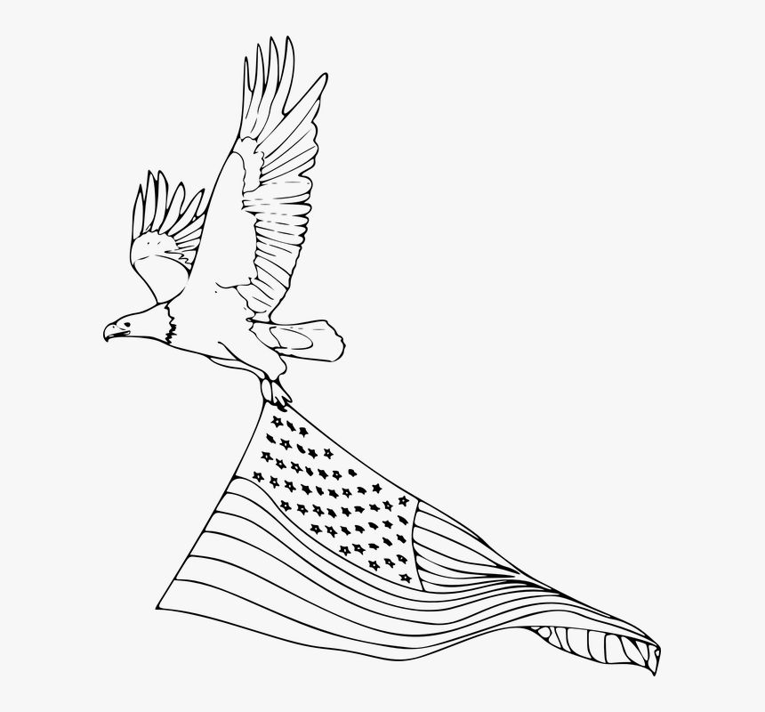 Transparent American Flag Eagle Png - Eagles Flying Drawing Easy, Png Download, Free Download