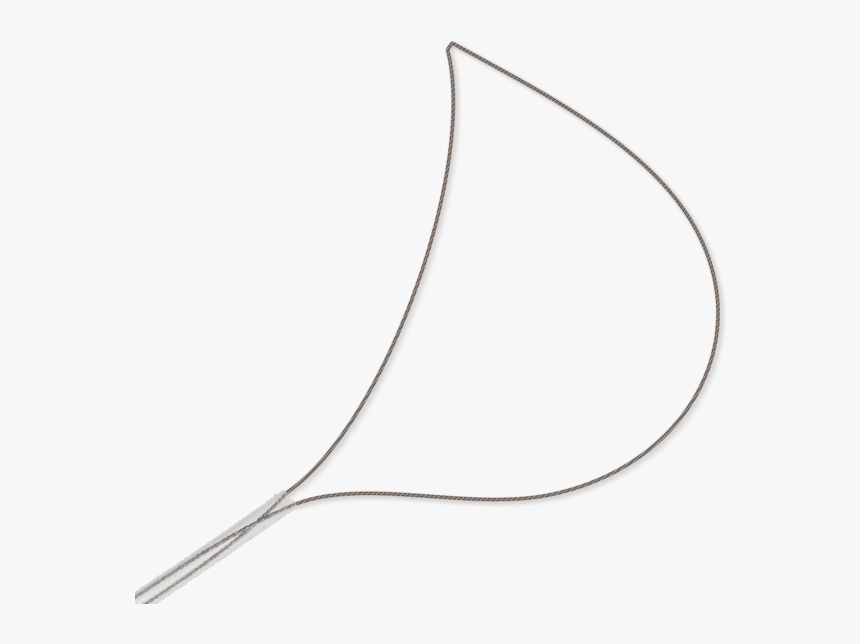 Single-use Polypectomy Snares - Necklace, HD Png Download, Free Download