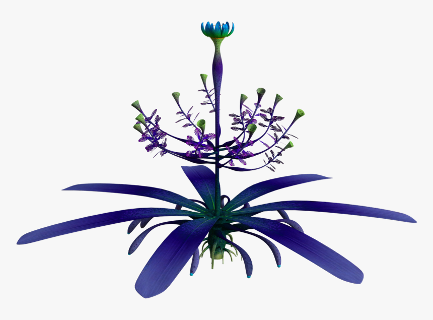 Fernleaf Lavender, HD Png Download, Free Download