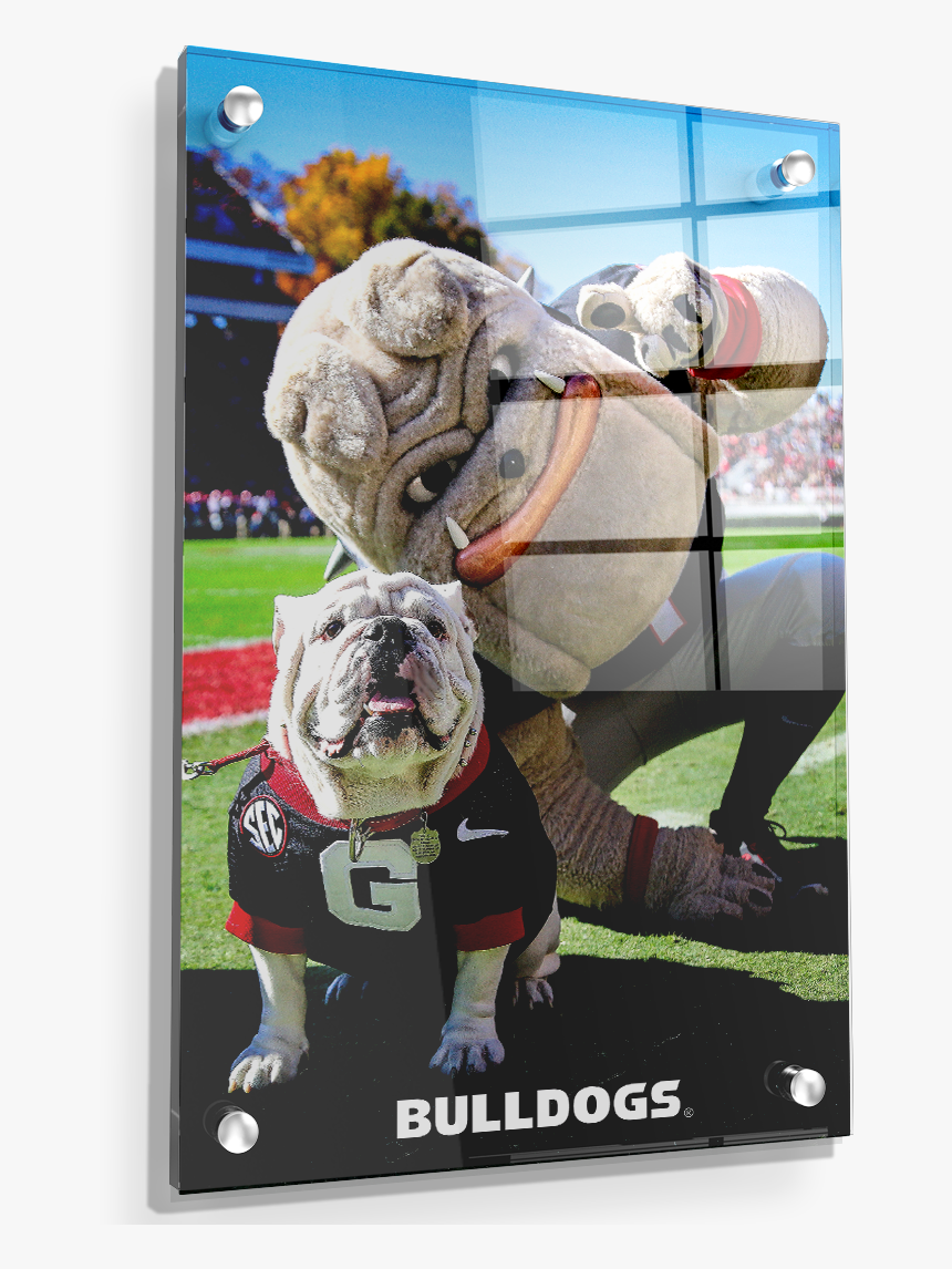 Uga & Hairy The Dog - Olde English Bulldogge, HD Png Download, Free Download