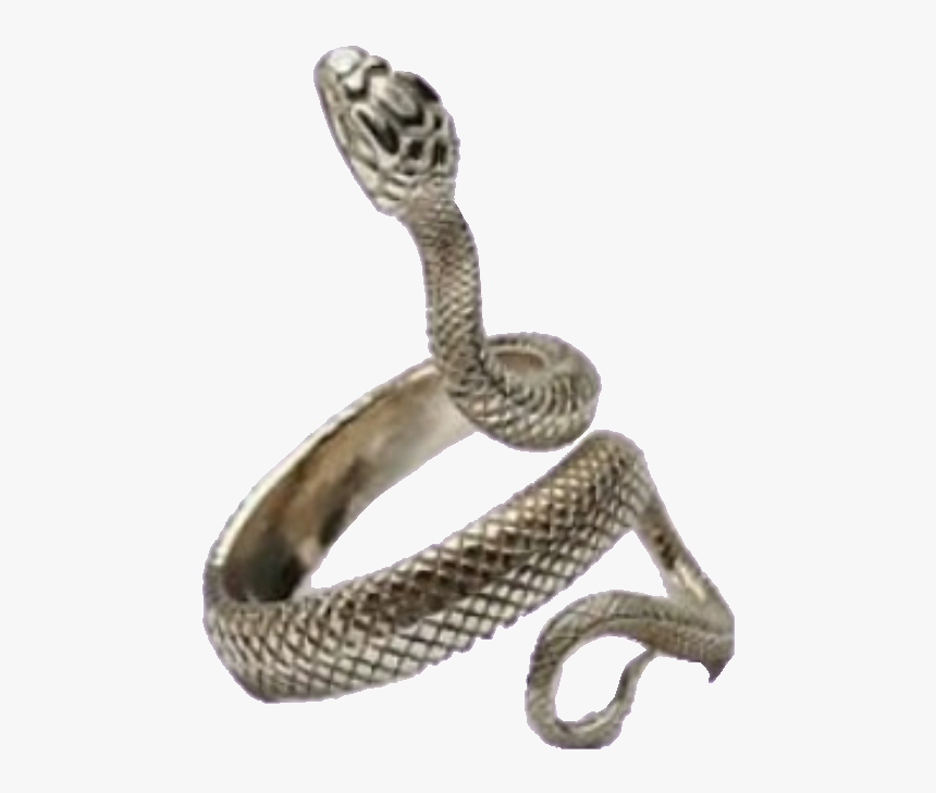 #png #snake #snakering #ring #freetoedit - Silver Snake Ring, Transparent Png, Free Download