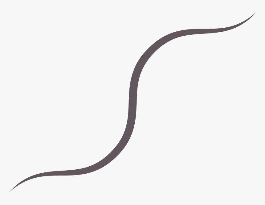 Hair Strand Png, Transparent Png - kindpng