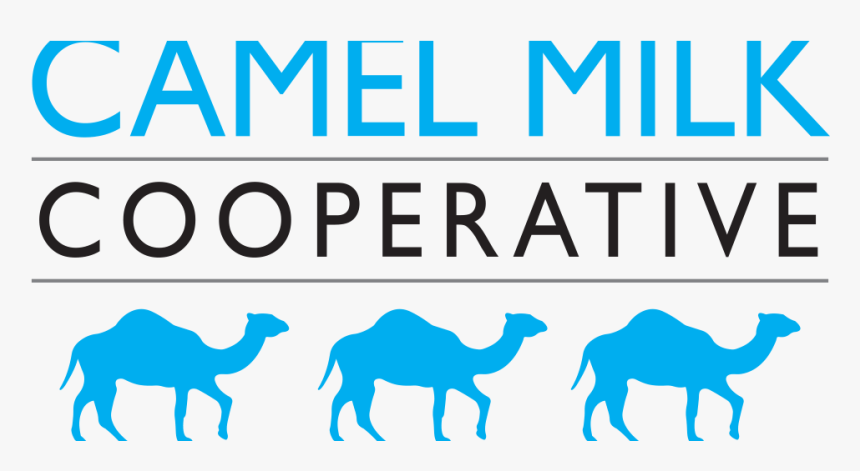 Camel Milk Cooperative - Arabian Camel, HD Png Download, Free Download