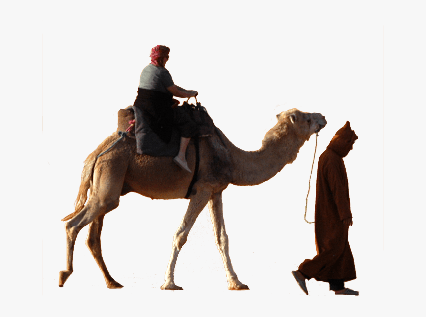 Caravan Of Camels Png, Transparent Png, Free Download