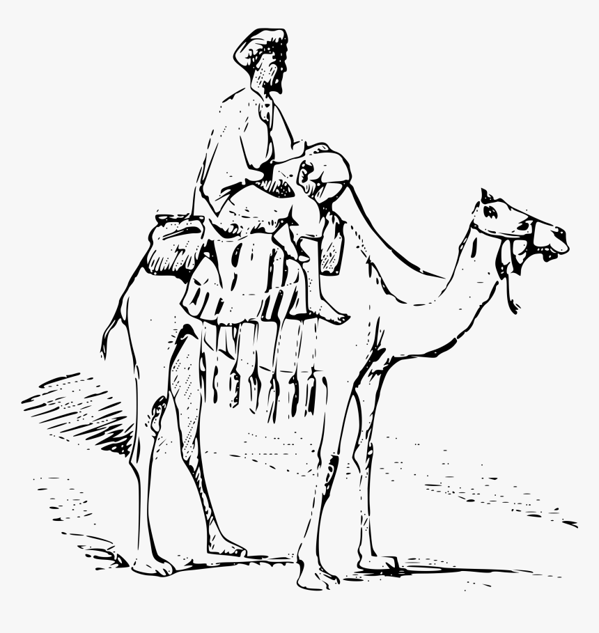 Drawing Camel Transparent Png Clipart Free Download - Camel Caravan To Draw, Png Download, Free Download