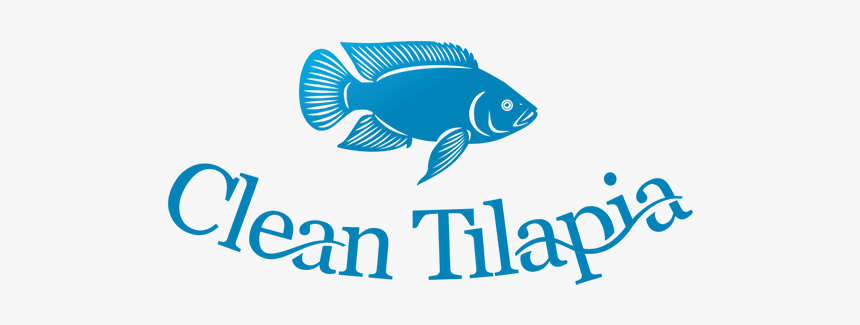 Cleantilapia Website - Bony-fish, HD Png Download, Free Download