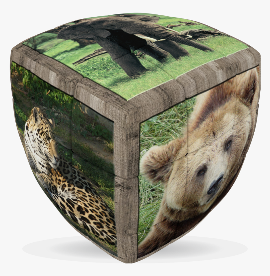V-cube Wild Animals - V Cube, HD Png Download, Free Download