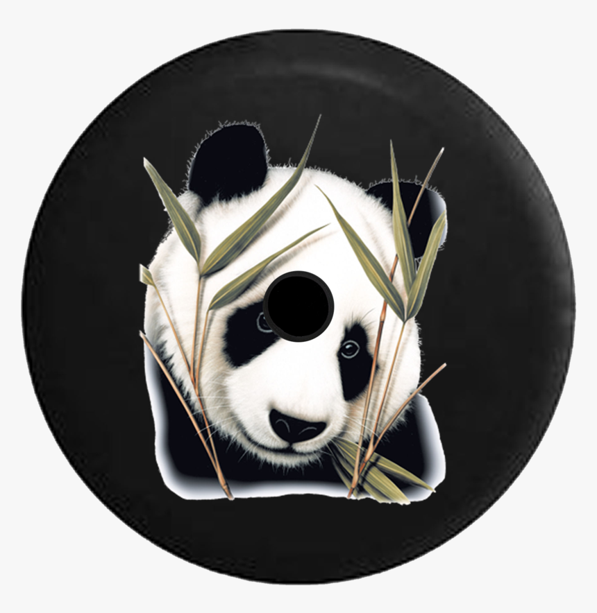 Giant Panda, HD Png Download, Free Download